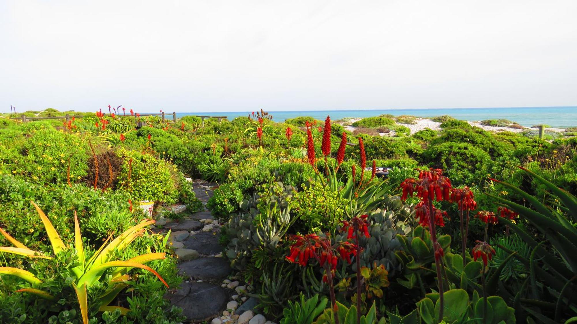 On The Beach Apartments Yzerfontein Bagian luar foto