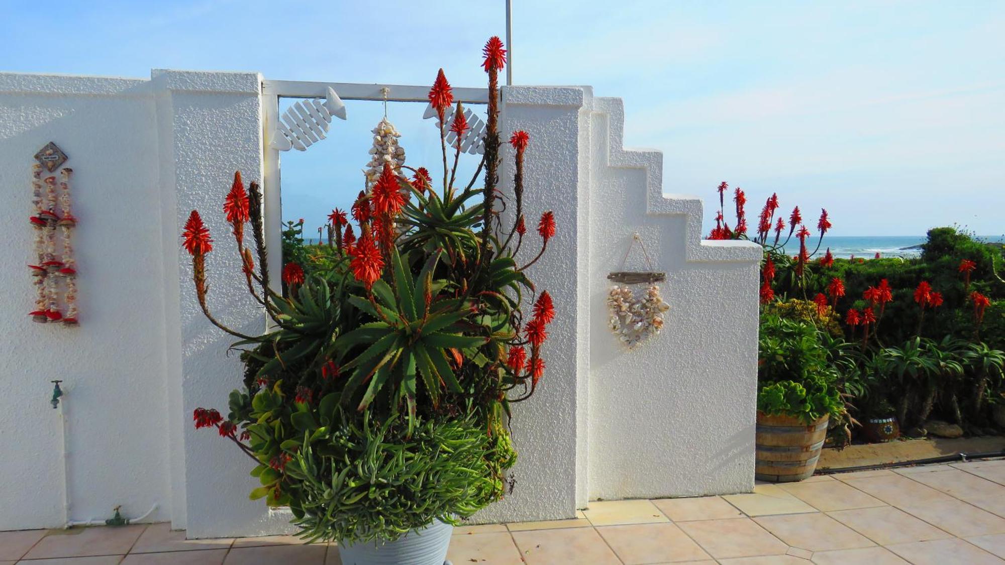 On The Beach Apartments Yzerfontein Bagian luar foto